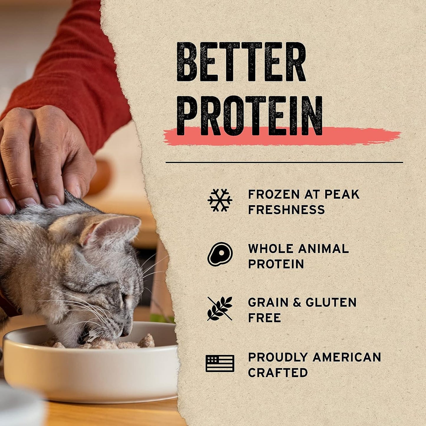 Minnows Cat Treats, 0.5 Oz | Freeze-Dried Raw | Single Ingredient | Grain Free, Gluten Free, Filler Free