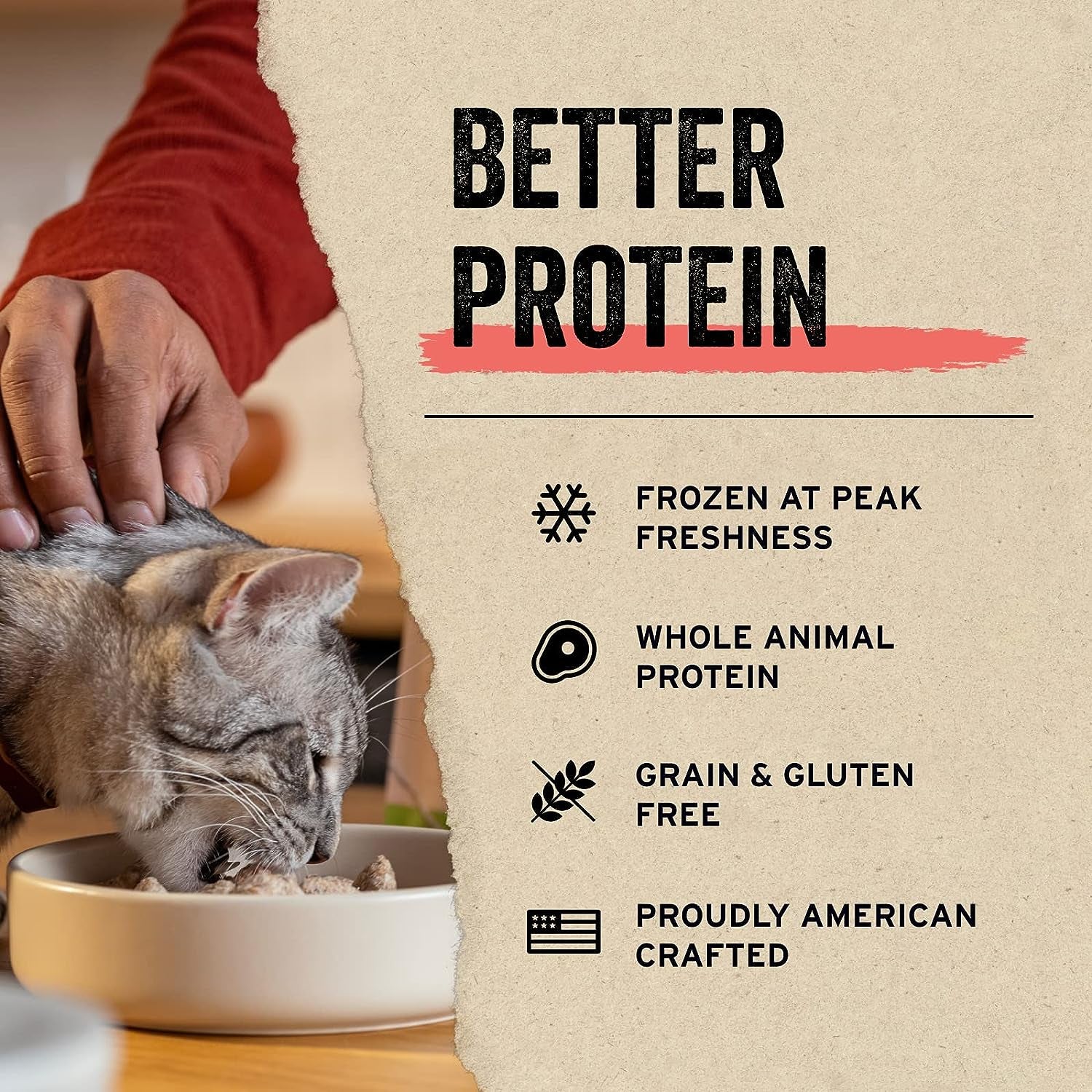 Minnows Cat Treats, 0.5 Oz | Freeze-Dried Raw | Single Ingredient | Grain Free, Gluten Free, Filler Free